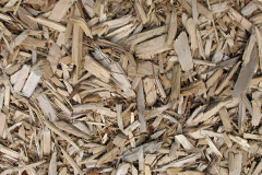 biomass boilers Claonaig
